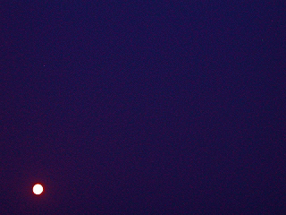星の動き(東の空)と比較できます
