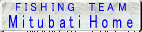 �~�c�o�`�}�|�N�̃t�B�b�V���O�`�|��