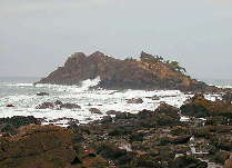 大崎島