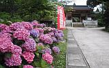 平等寺