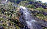 垂水の滝
