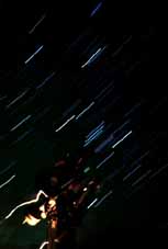 �I���I���Ɩ]�����Q