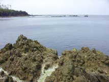 ��Փ�������