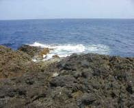 �C�C��������