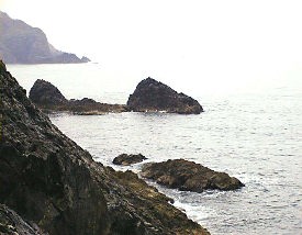 �؂̉Y����