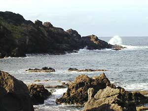 ��蓇������