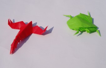カエルとザリガニ