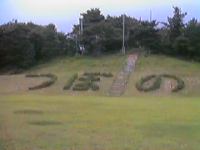 P_tubo06.jpg