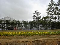 06.jpg