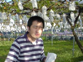 01.jpg