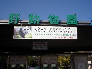 08.jpg