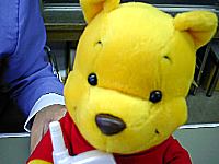 08.jpg