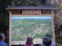 01.jpg