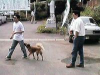 ushiku11.jpg