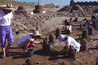 �������̌���