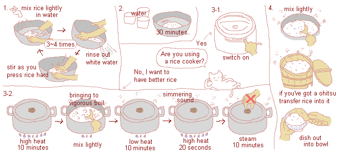 Illustration: How to cook rice